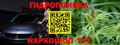 СК Вязьма