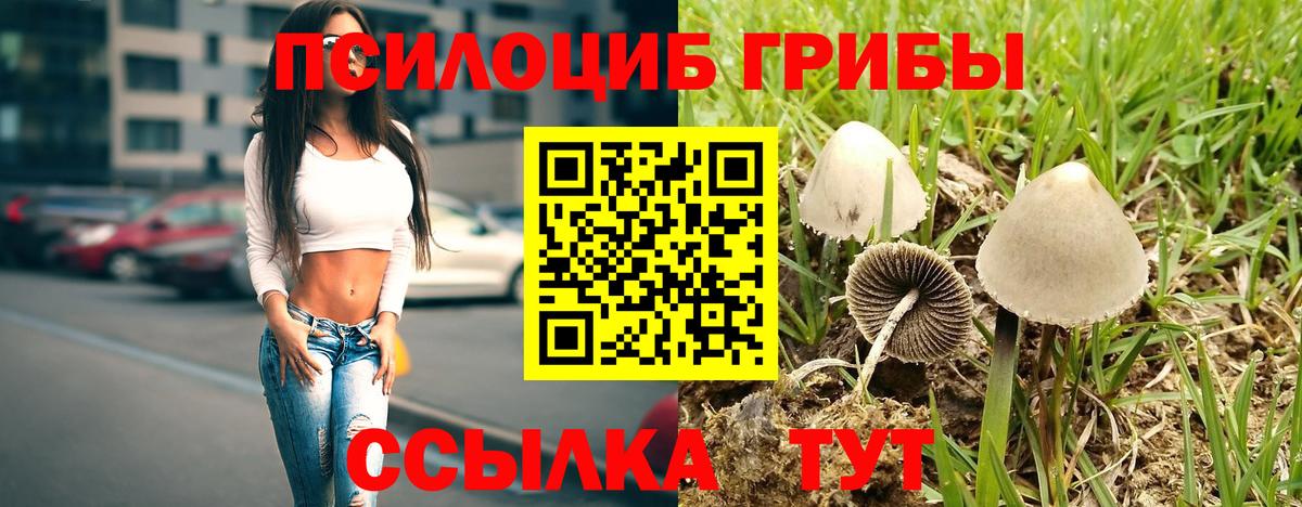 Псилоцибиновые грибы Cubensis  Псилоцибиновые грибы мицелий  Воркута  Вход с VPN 
