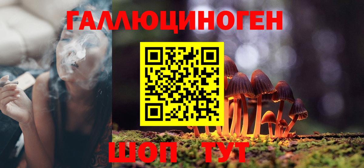 Псилоцибиновые грибы мицелий Воркута